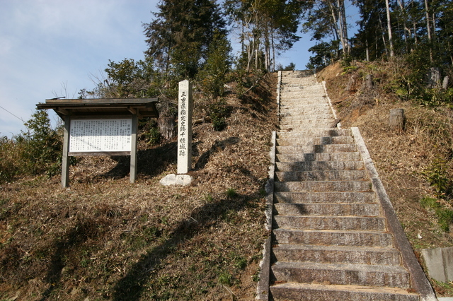 千種城（ちぐさじょう）: 古城と野鳥