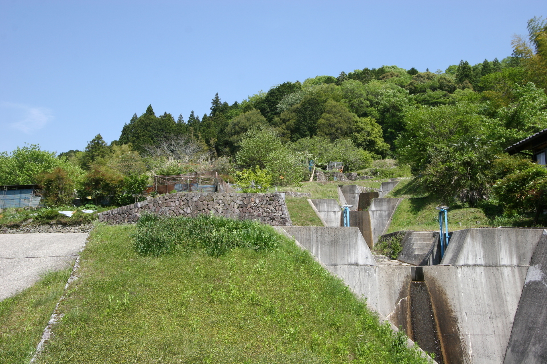 土城（どじょう） 古城と野鳥