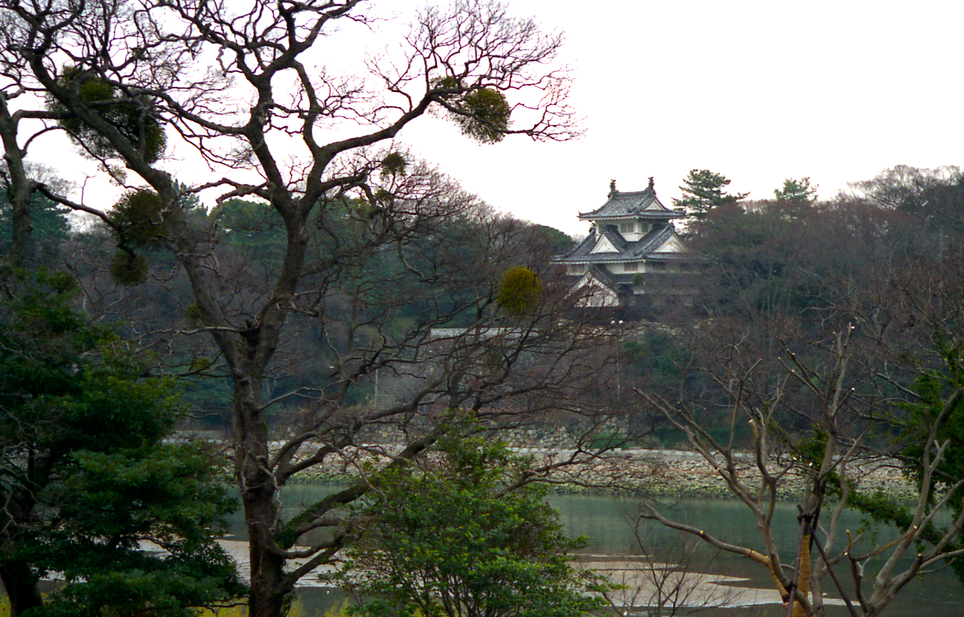吉田城（よしだじょう）: 古城と野鳥