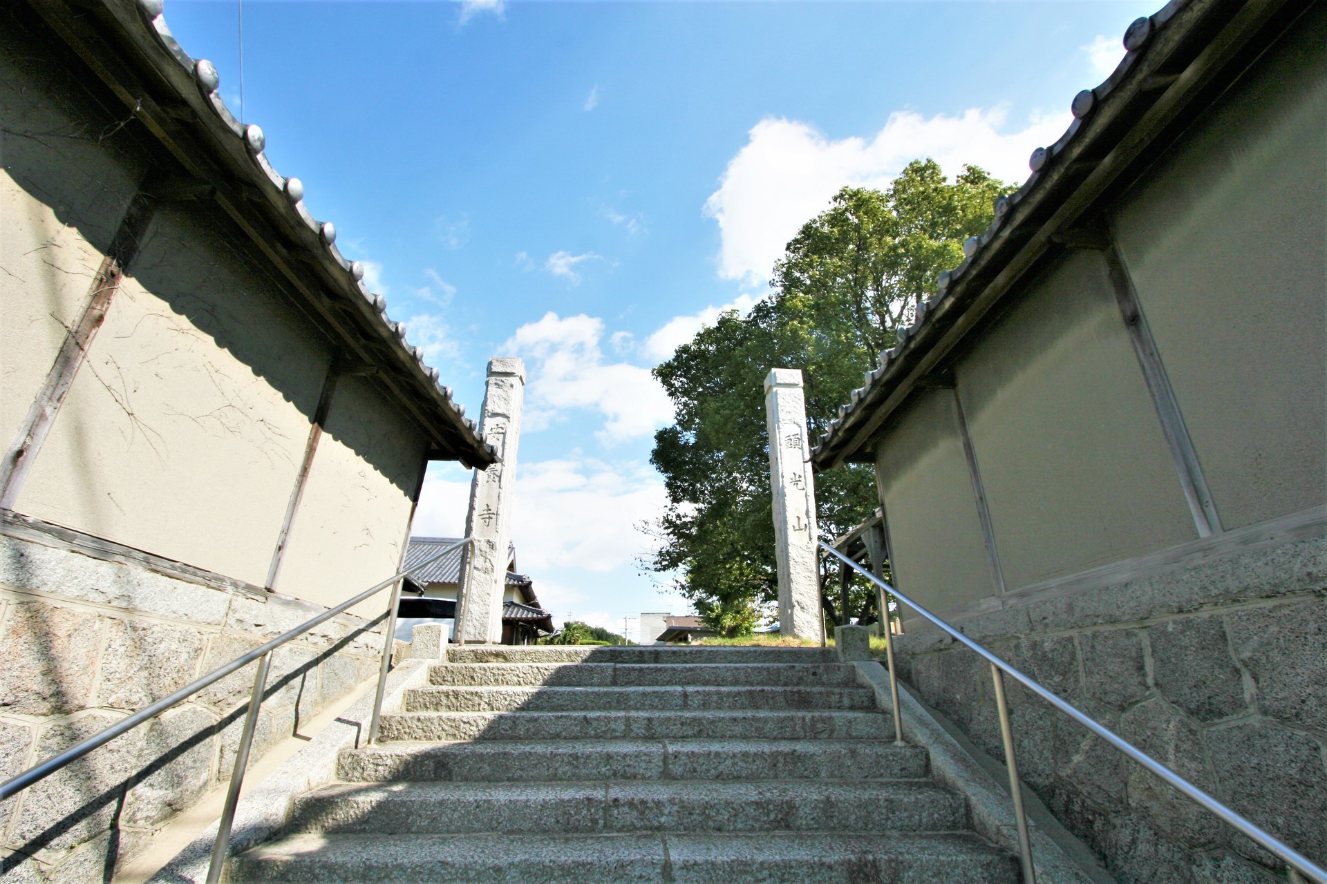 古場城（こばじょう）: 古城と野鳥