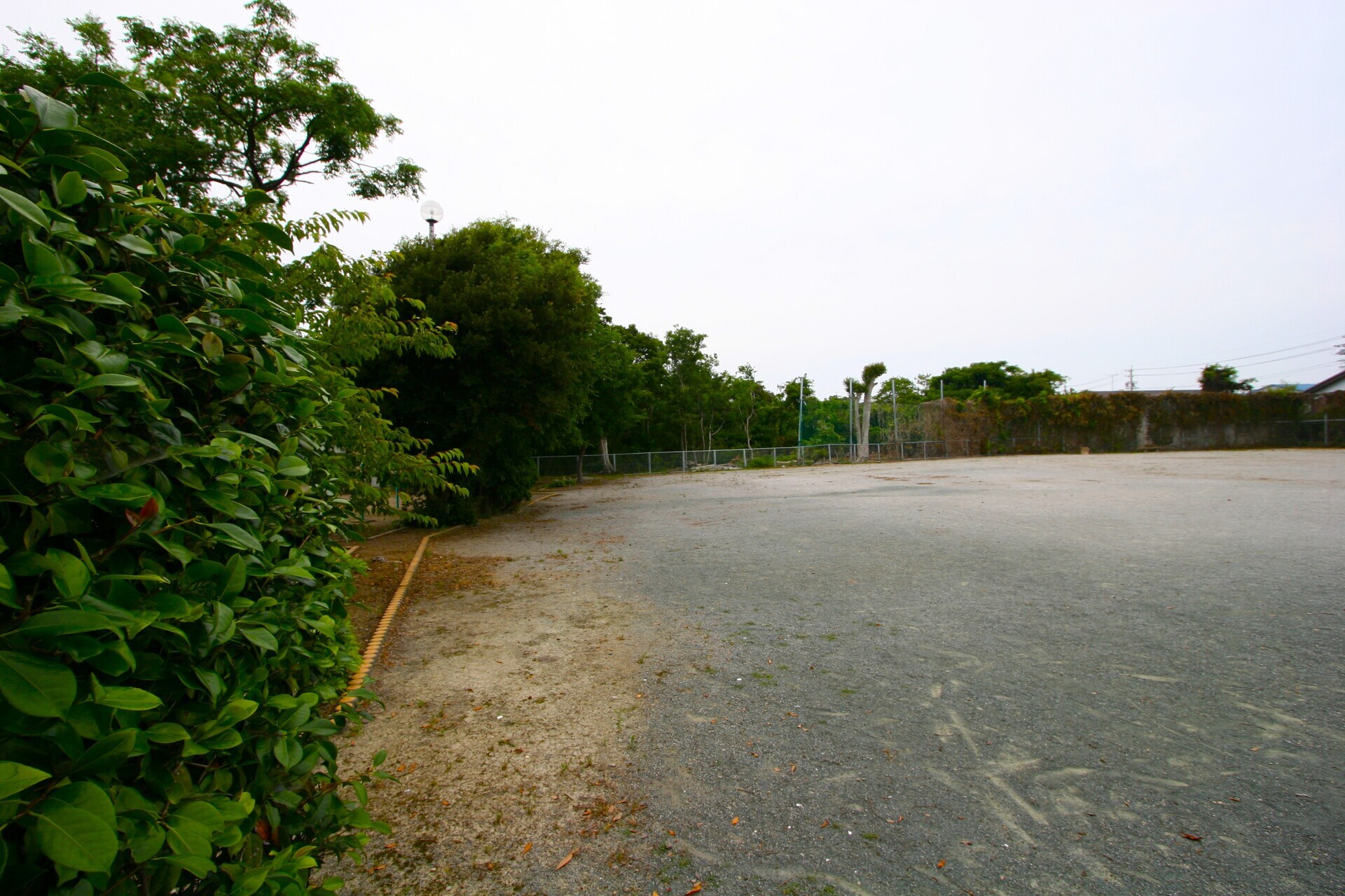 保美城（ほびじょう） 古城と野鳥